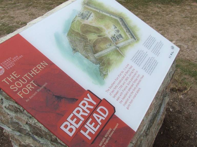 Berry Head - impact resistant acrylic - anti-vandalism