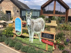 Bespoke Sign for The Donkey Sanctuary