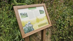 Otterhead light isitwood lectern frames with dibond graphic panels