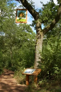 Westonbirt Arboretum signage in tree